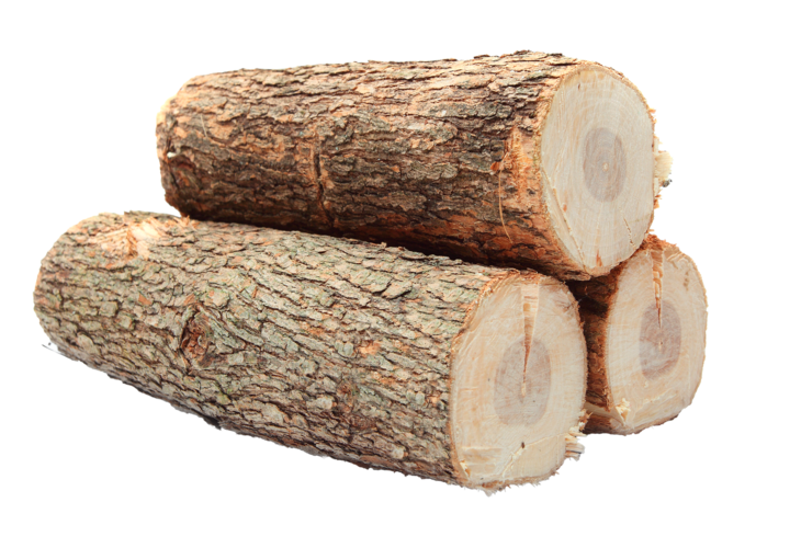 Экспорт круглого леса из России