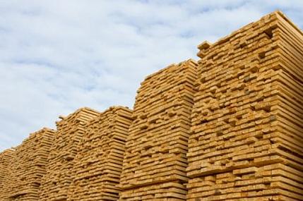 Экспорт пиломатериалов